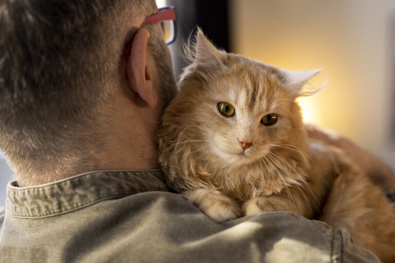 Clingy kitten being held by its owner, looking affectionate and secure.