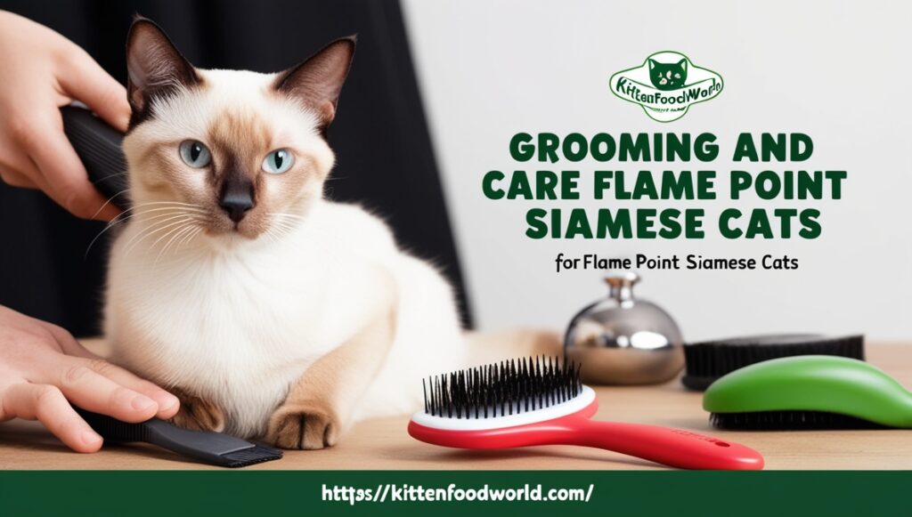 Grooming and Care for Flame Point Siamese Cats