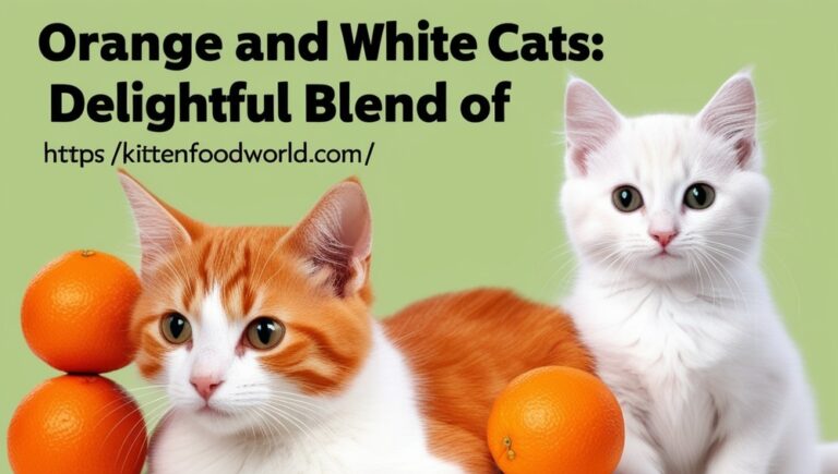 Orange and White Cats A Delightful Blend of Charm and Beauty