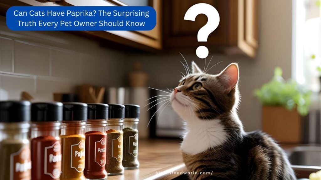 Can Cats Have Paprika? The Surprising Truth Every Pet Owner Should Know